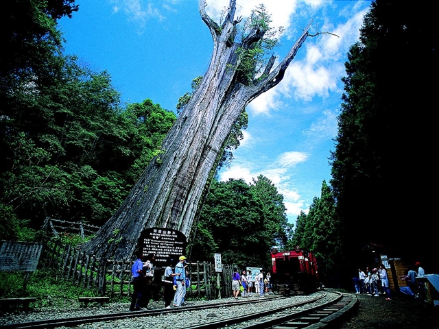 Image 8